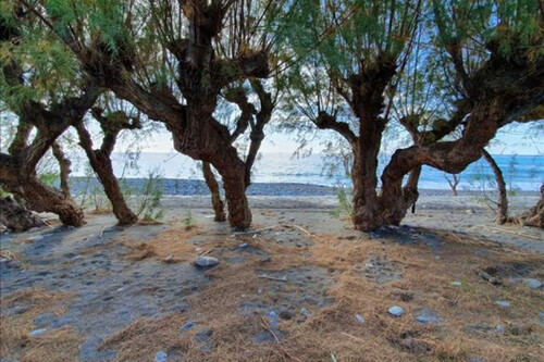 Foto - Gewerbe-Immobilie Kaufen, , Makrys Gialos (Lasithi Präfektur),