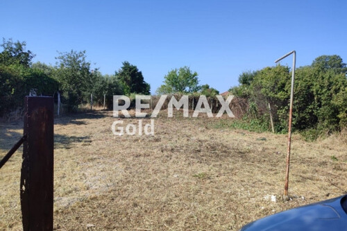 Foto - Grundstück Land Kaufen, , Triglia (Chalkidiki),