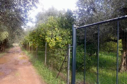 Foto - Grundstück zum Kaufen in 