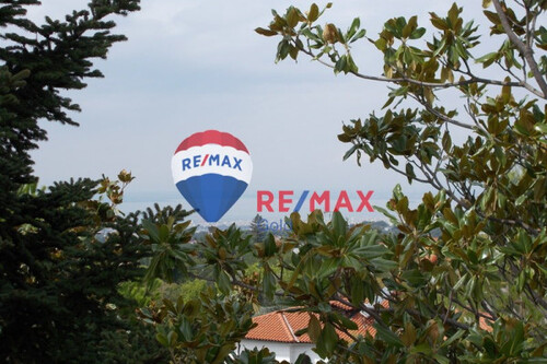 Foto - 12 Zimmer Einfamilienhaus zum Kaufen in 