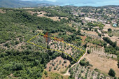 Foto - Grundstück Land Kaufen, , Argalasti (Pilio),