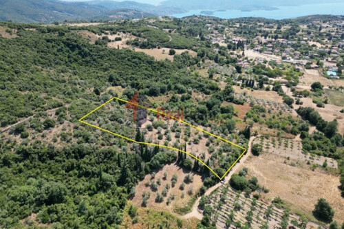 Foto - Grundstück Land Kaufen, , Argalasti (Pilio),