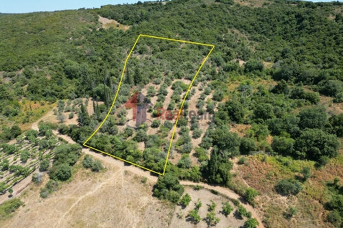 Foto - Grundstück zum Kaufen in 