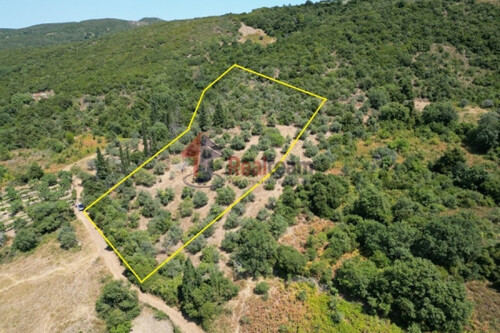 Foto - Grundstück in 