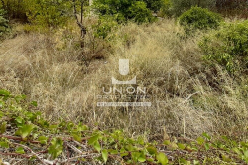 Foto - Grundstück Land Kaufen, , Koropi (Athen Ost),