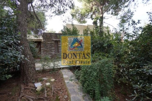 Foto - 7 Zimmer Einfamilienhaus in 