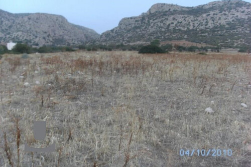 Foto - Grundstück Land Kaufen, , Legrena (Attika - Restliche Gemeinden),