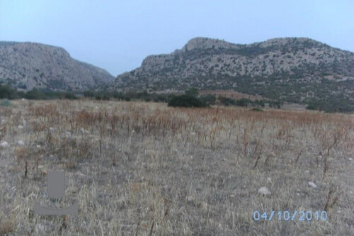 Foto - Grundstück in zum Kaufen