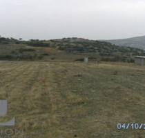 Grundstück Land Kaufen, , Legrena (Attika - Restliche Gemeinden),