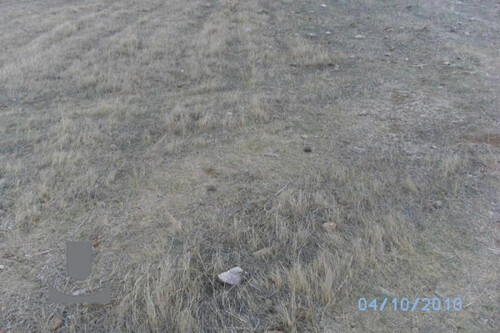 Foto - Grundstück zum Kaufen in 