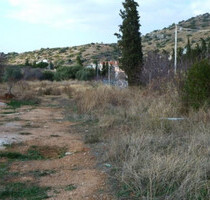 Grundstück Land Kaufen, , Kalyvia Thorikou (Attika - Restliche Gemeinden),