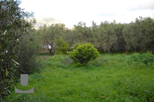 Foto - Grundstück Land Kaufen, , Kalyvia Thorikou (Attika - Restliche Gemeinden),