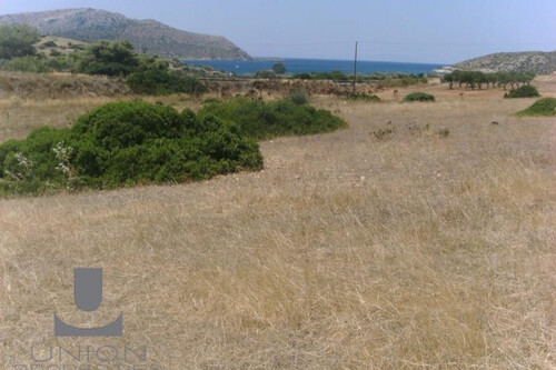 Foto - Grundstück Land Kaufen, , Legrena (Attika - Restliche Gemeinden),