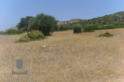 Foto - Grundstück zum Kaufen in 