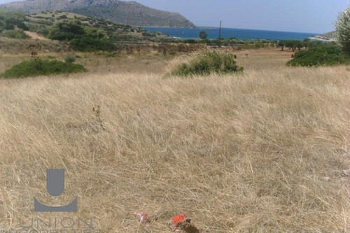 Foto - Grundstück in 