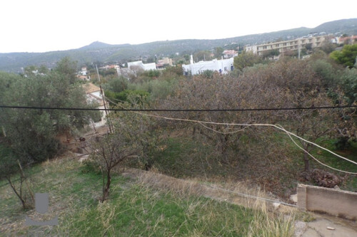 Foto - 