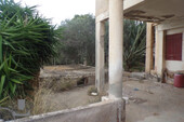 Foto - 