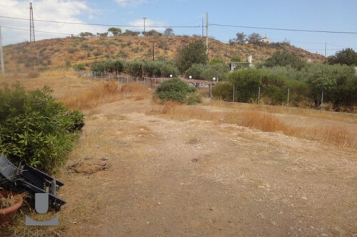 Foto - Grundstück Land Kaufen, , Legrena (Attika - Restliche Gemeinden),