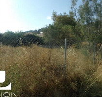 Grundstück Land Kaufen, , Anavyssos (Attika - Restliche Gemeinden),