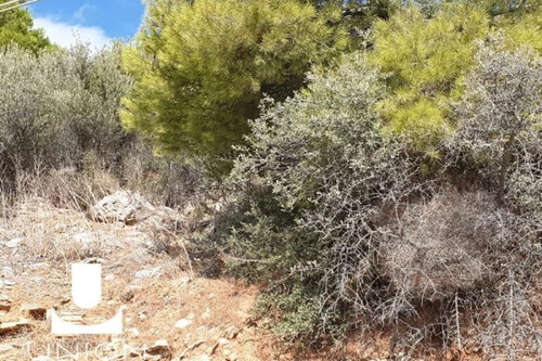 Foto - Grundstück in zum Kaufen