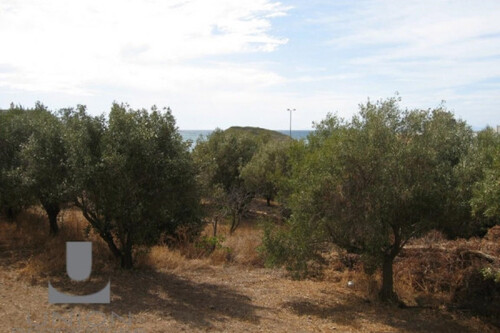 Foto - Grundstück Land Kaufen, , Kalyvia Thorikou (Attika - Restliche Gemeinden),
