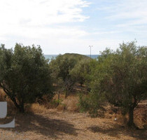 Grundstück Land Kaufen, , Kalyvia Thorikou (Attika - Restliche Gemeinden),