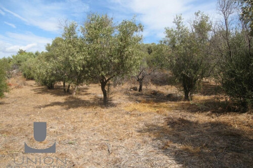 Foto - Grundstück zum Kaufen in 