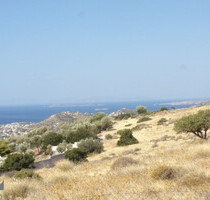 Grundstück Land Kaufen, , Kalyvia Thorikou (Attika - Restliche Gemeinden),