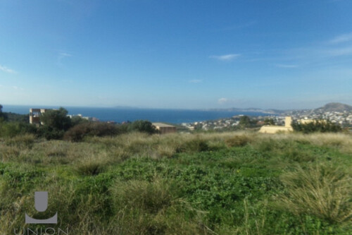 Foto - Grundstück Land Kaufen, , Kalyvia Thorikou (Attika - Restliche Gemeinden),