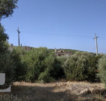 Grundstück Land Kaufen, , Saronida (Attika - Restliche Gemeinden),