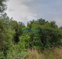 Grundstück Land Kaufen, , Pikermi (Attika - Restliche Gemeinden),