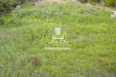 Foto - Grundstück Land Kaufen, , Koropi (Athen Ost),