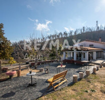 Haus Kaufen, , Artemisio (Euböa),