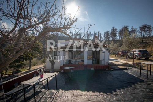 Foto - Einfamilienhaus in zum Kaufen