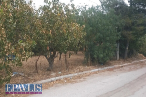 Foto - Grundstück zum Kaufen in 