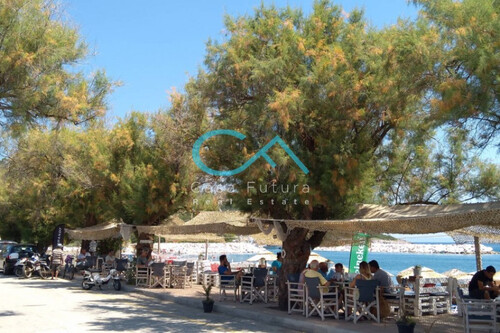 Foto - 12 Zimmer Einfamilienhaus zum Kaufen in 