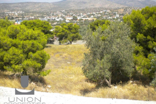 Foto - Grundstück zum Kaufen in 