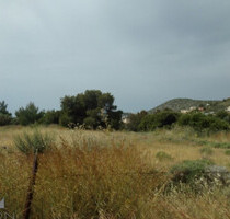 Grundstück Land Kaufen, , Kalyvia Thorikou (Attika - Restliche Gemeinden),