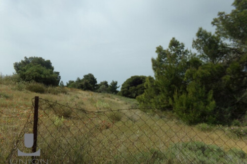 Foto - Grundstück in 