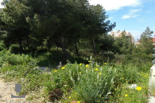 Foto - Grundstück Land Kaufen, , Voula (Athen Süd),