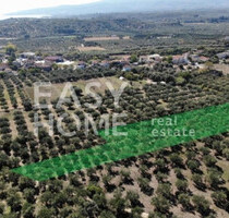 Grundstück Land Kaufen, , Messini (Messinia),