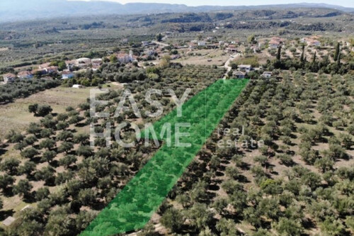 Foto - Grundstück in 