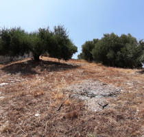 Grundstück Land Kaufen, , Gazi (Heraklion Präfektur),