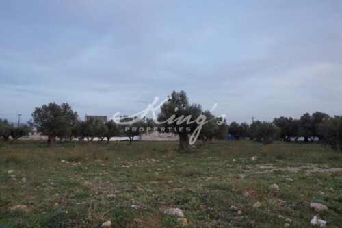 Foto - Grundstück in 