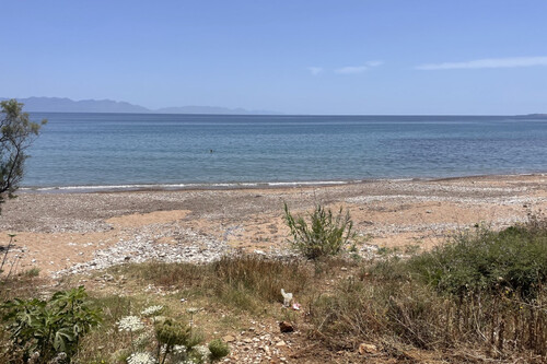 Foto - Grundstück Land Kaufen, , Petalidi (Messinia),