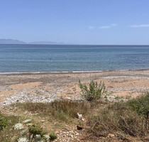 Grundstück Land Kaufen, , Petalidi (Messinia),