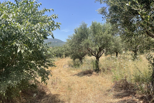 Foto - Grundstück in 