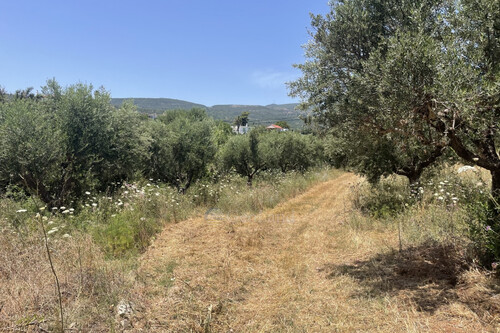 Foto - Grundstück in zum Kaufen