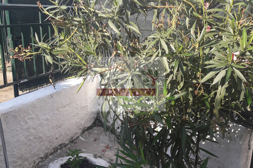 Foto - Einfamilienhaus in zum Kaufen