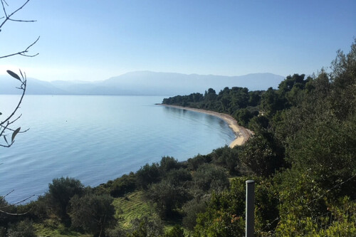 Foto - Grundstück zum Kaufen in 